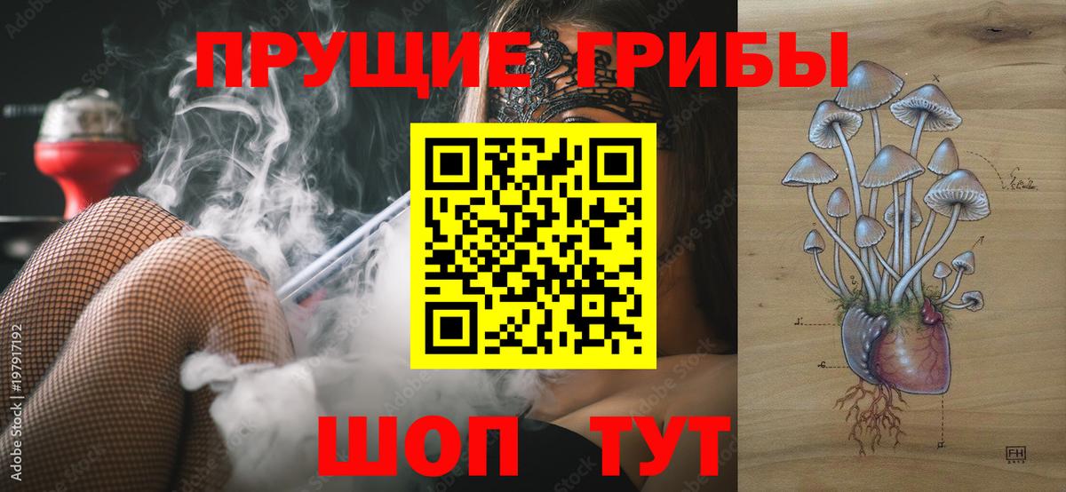 закладка  Галлюциногенные грибы ЛСД  Вход с VPN  Галлюциногенные грибы прущие грибы  Щёлково 