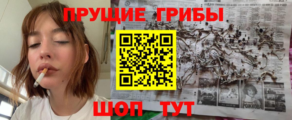 Галлюциногенные грибы Psilocybe Щёлково